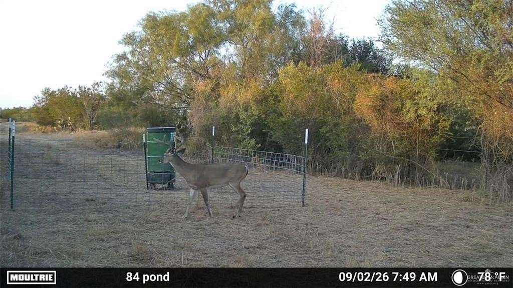 84.5 Acres of Recreational Land for Sale in Zapata, Texas