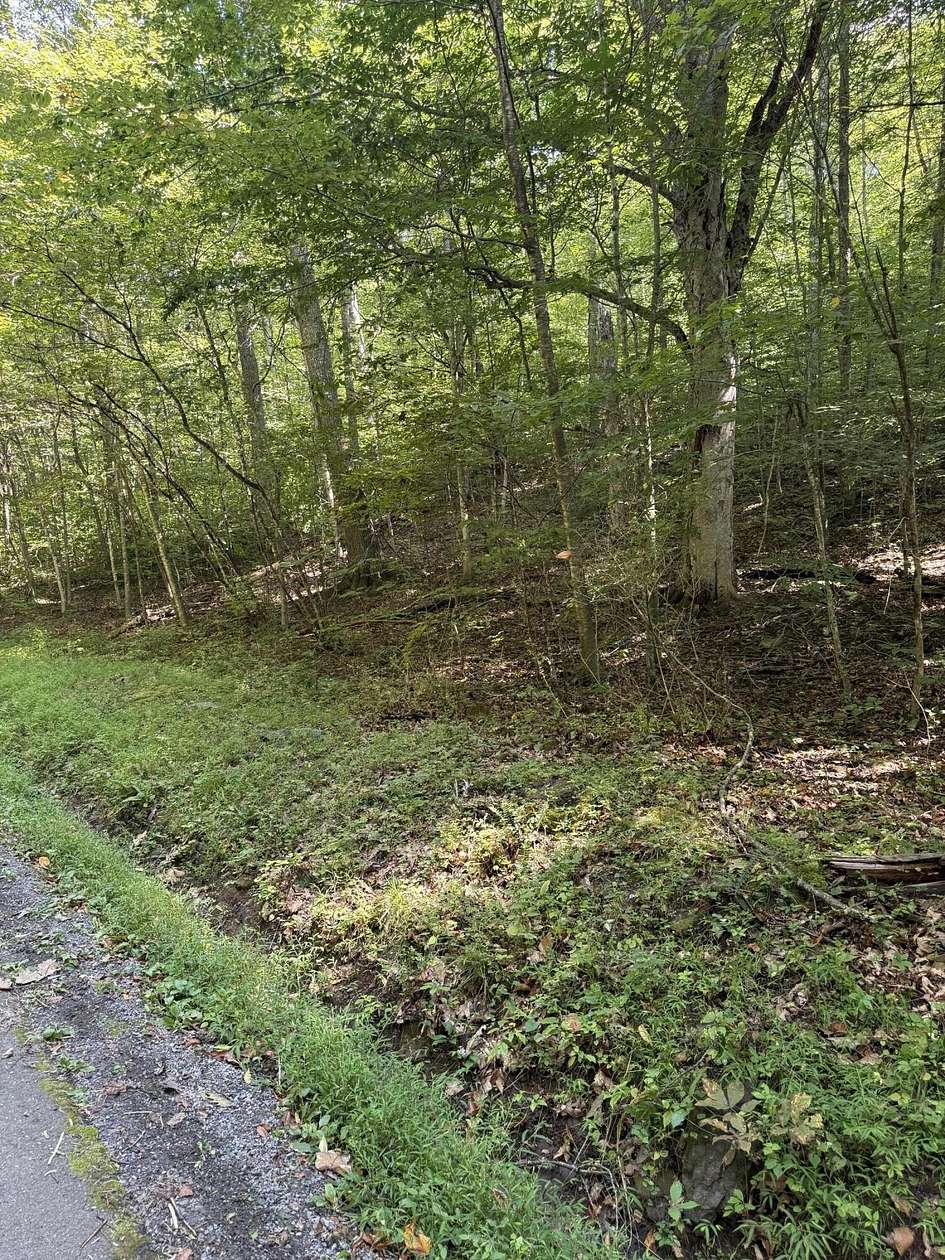 2 Acres of Residential Land for Sale in Hillsboro, West Virginia