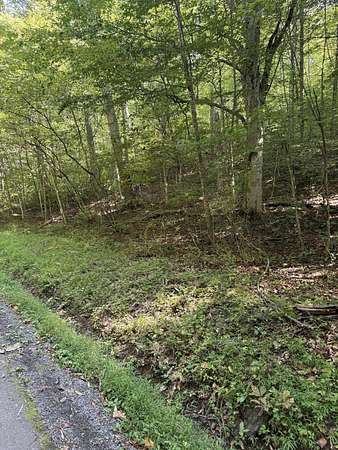 2 Acres of Residential Land for Sale in Hillsboro, West Virginia
