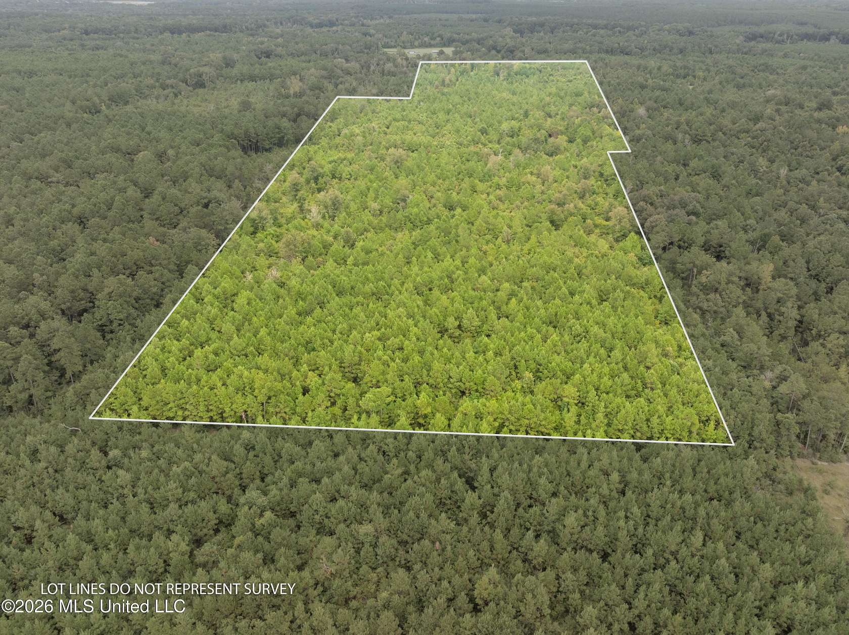 49 Acres of Land for Sale in Magnolia, Mississippi