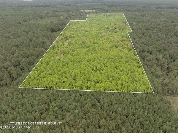 49 Acres of Land for Sale in Magnolia, Mississippi