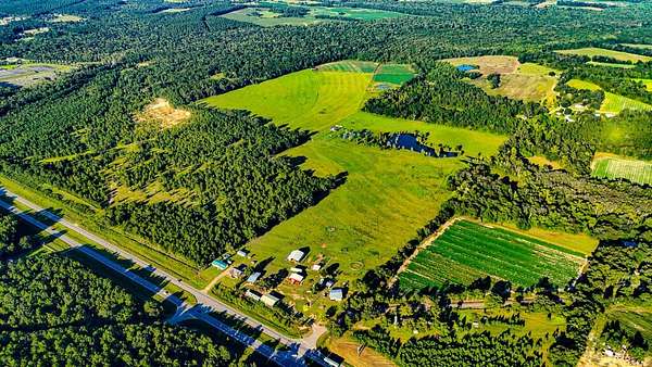 161 Acres of Land for Sale in Cottonwood, Alabama