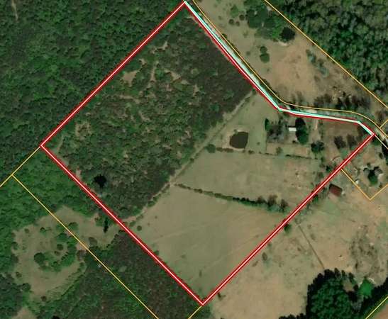38.3 Acres of Land for Sale in Groveton, Texas