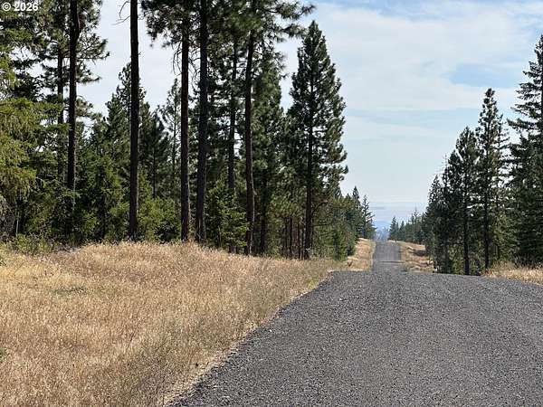 19.8 Acres of Recreational & Residential Land for Sale in Goldendale, Washington