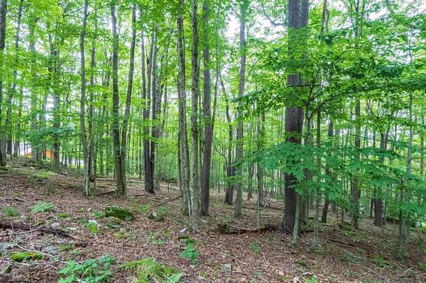 2.14 Acres of Residential Land for Sale in Davis, West Virginia