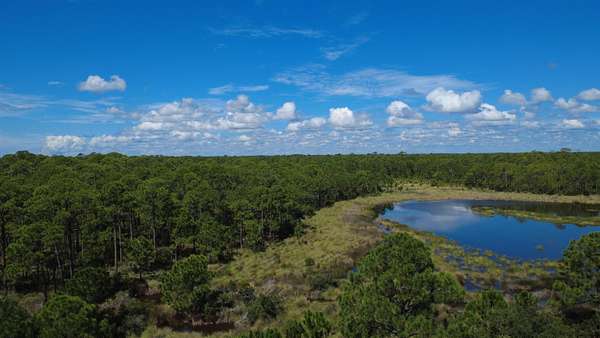 0.19 Acres of Residential Land for Sale in Panacea, Florida