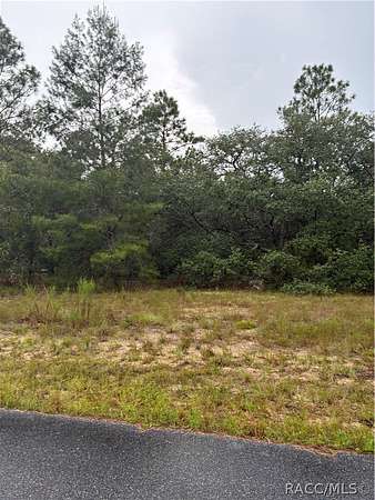 0.39 Acres of Residential Land for Sale in Citrus Springs, Florida