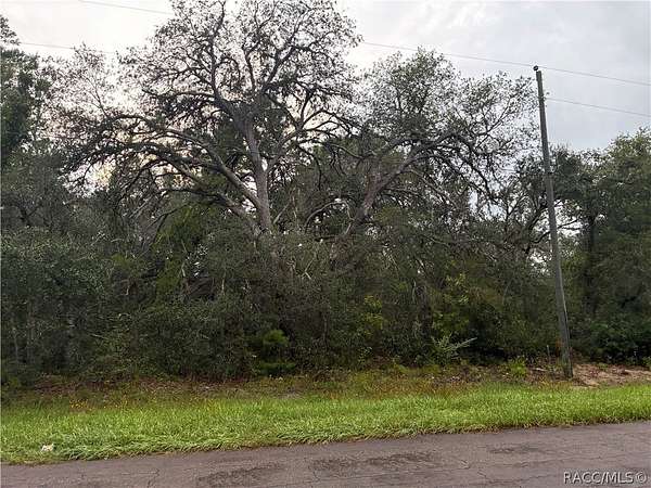 0.23 Acres of Residential Land for Sale in Citrus Springs, Florida