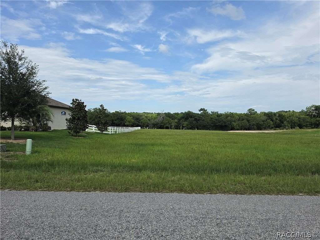 0.99 Acres of Residential Land for Sale in Hernando, Florida