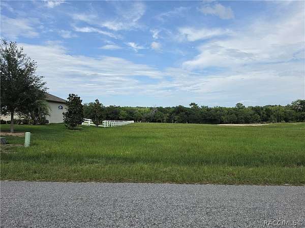 0.99 Acres of Residential Land for Sale in Hernando, Florida