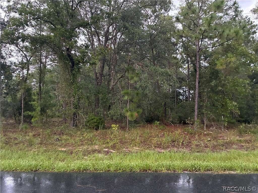 0.28 Acres of Residential Land for Sale in Citrus Springs, Florida