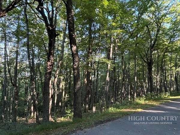 0.4 Acres of Land for Sale in Newland, North Carolina