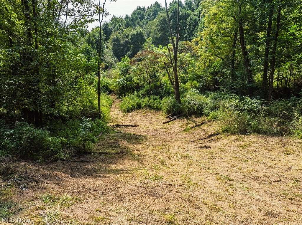 20.6 Acres of Recreational & Residential Land for Sale in Scio, Ohio