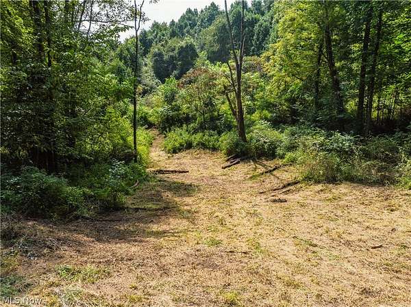 20.6 Acres of Recreational & Residential Land for Sale in Scio, Ohio