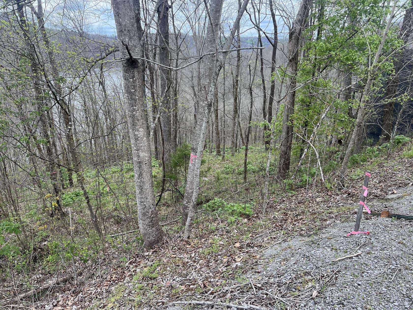 0.66 Acres of Residential Land for Sale in Smithville, Tennessee