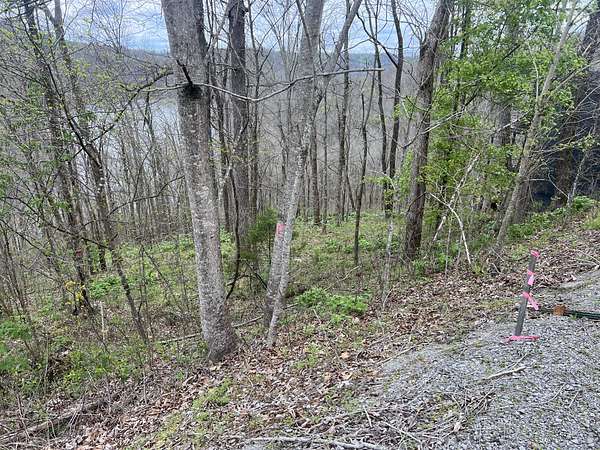 0.66 Acres of Residential Land for Sale in Smithville, Tennessee
