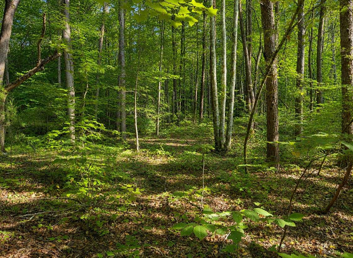 0.57 Acres of Residential Land for Sale in Tellico Plains, Tennessee