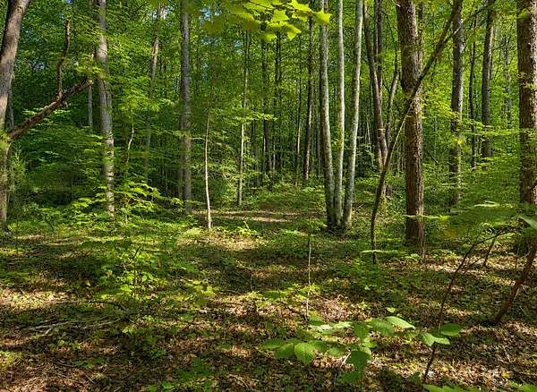 0.57 Acres of Residential Land for Sale in Tellico Plains, Tennessee