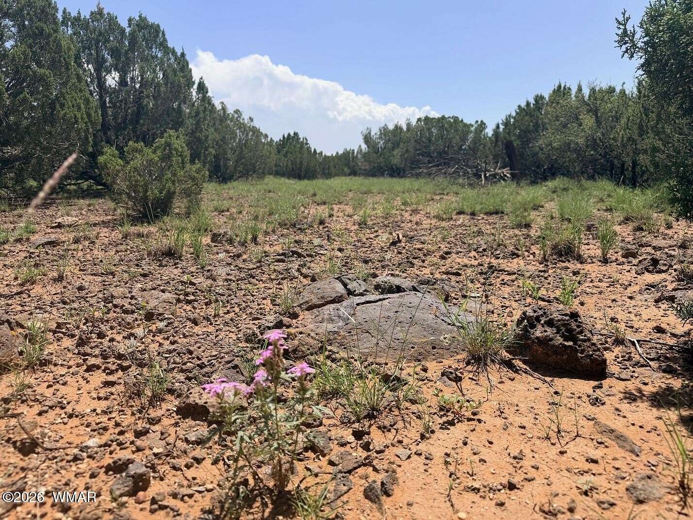 10 Acres of Recreational & Residential Land for Sale in Show Low, Arizona