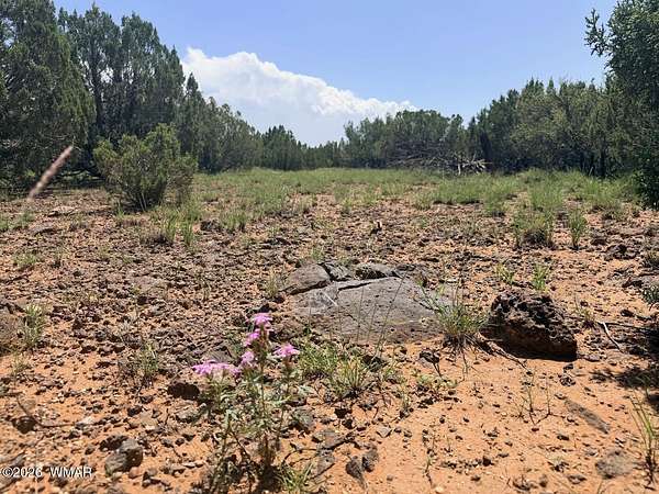 10 Acres of Recreational & Residential Land for Sale in Show Low, Arizona