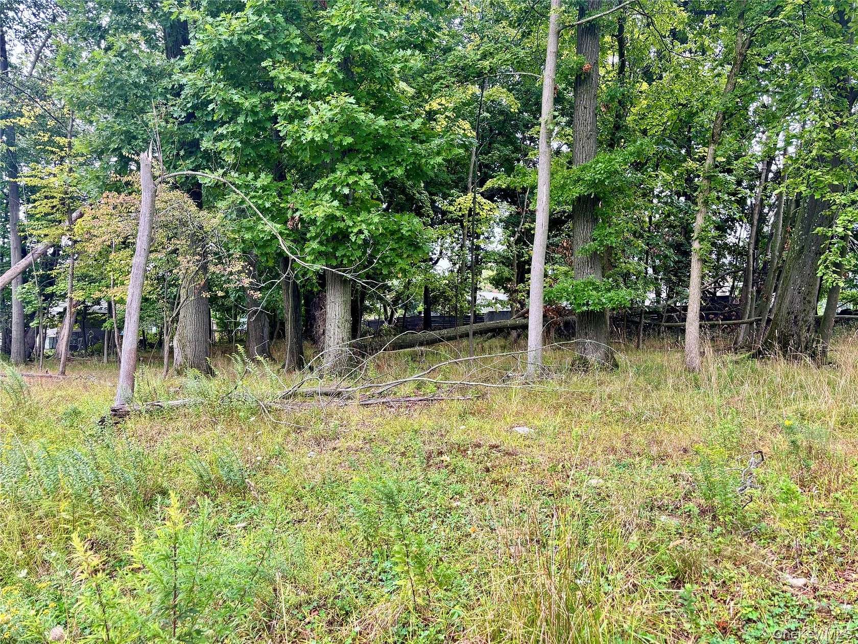 0.29 Acres of Residential Land for Sale in Middletown, New York