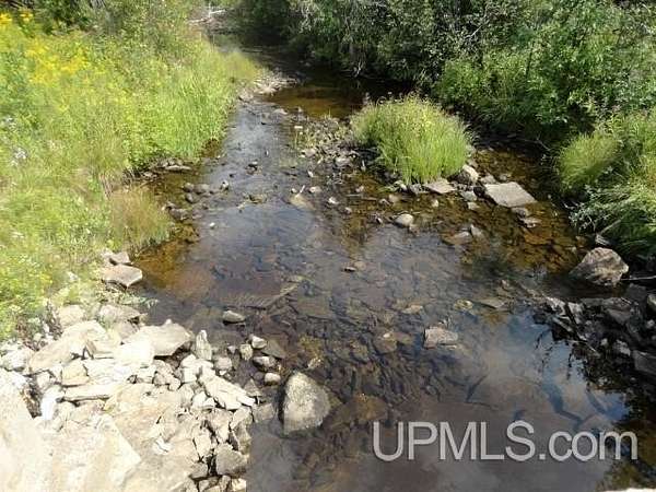 40 Acres of Recreational Land with Home for Sale in Limestone, Michigan