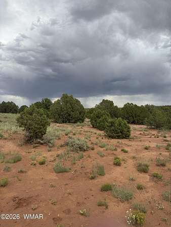1.18 Acres of Residential Land for Sale in Snowflake, Arizona