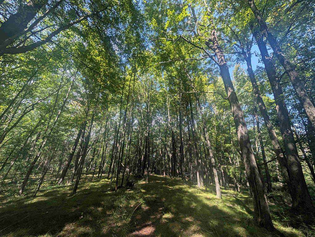 25 Acres of Land for Sale in Ogdensburg, Wisconsin