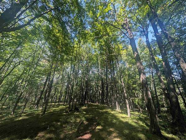 25 Acres of Land for Sale in Ogdensburg, Wisconsin