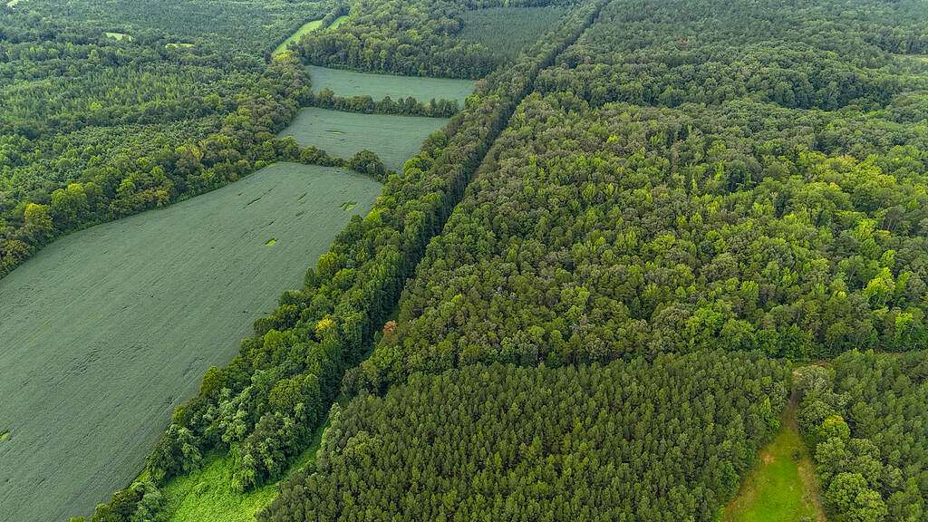 14 Acres of Land for Sale in Saxe, Virginia