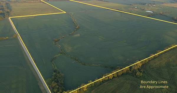 233 Acres of Land for Sale in Blythedale, Missouri