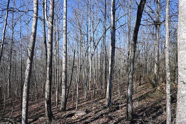 1.3 Acres of Residential Land for Sale in Linden, Tennessee