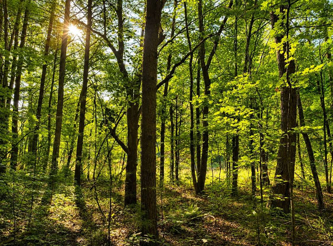 1.79 Acres of Residential Land for Sale in Tellico Plains, Tennessee