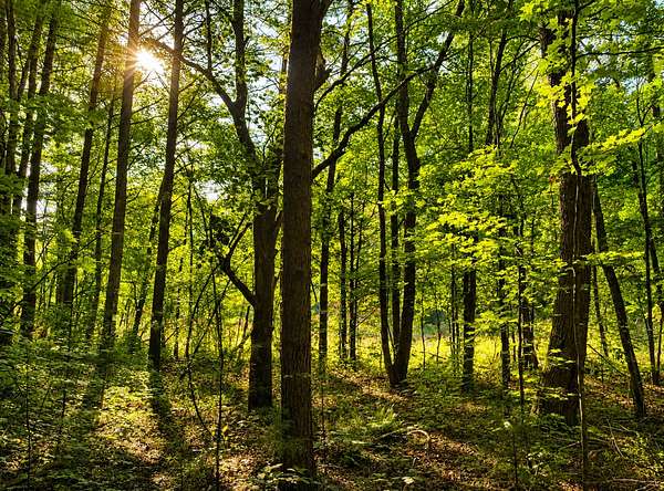 1.79 Acres of Residential Land for Sale in Tellico Plains, Tennessee