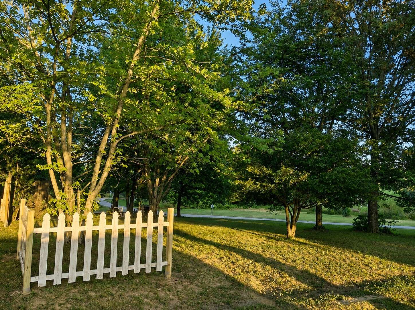 Residential Land for Sale in Beechgrove, Tennessee