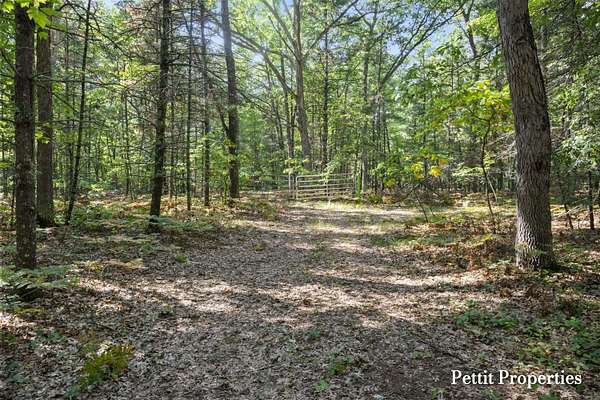 19.7 Acres of Recreational & Residential Land for Sale in Rothbury, Michigan