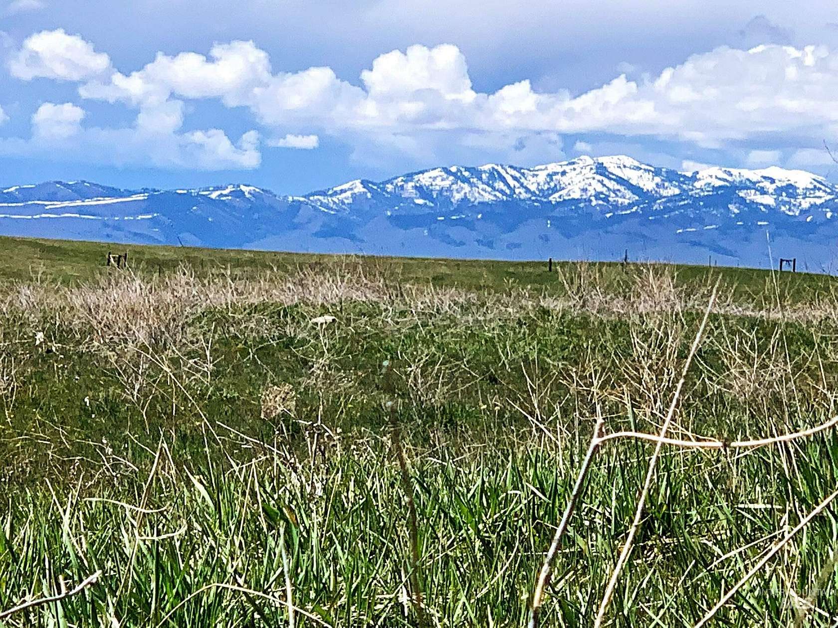 19.5 Acres of Land for Sale in Midvale, Idaho