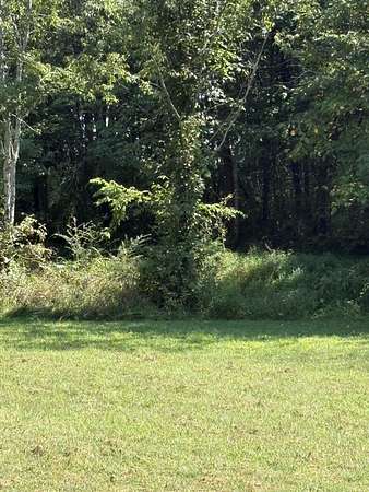 8.29 Acres of Residential Land for Sale in Tellico Plains, Tennessee