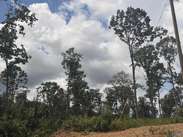 5 Acres of Residential Land for Sale in Mentone, Alabama