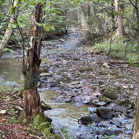 30.8 Acres of Recreational Land for Sale in Terra Alta, West Virginia