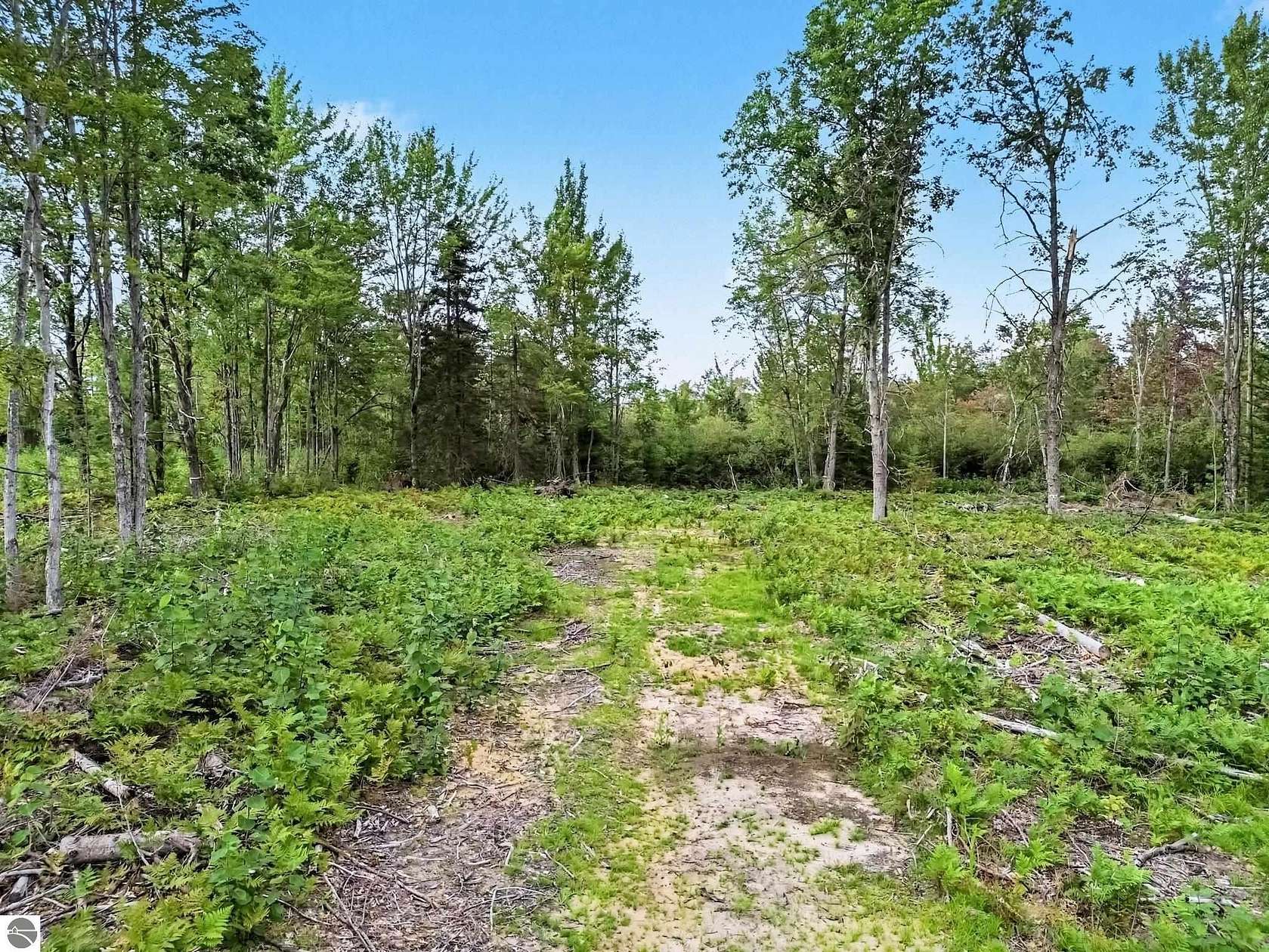 24.5 Acres of Recreational & Residential Land for Sale in Prudenville, Michigan