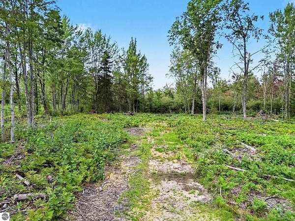 24.5 Acres of Recreational & Residential Land for Sale in Prudenville, Michigan