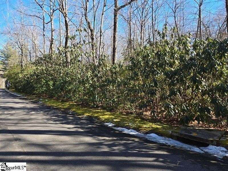 0.58 Acres of Residential Land for Sale in Cleveland, South Carolina
