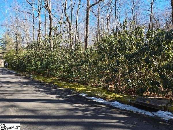 0.58 Acres of Residential Land for Sale in Cleveland, South Carolina