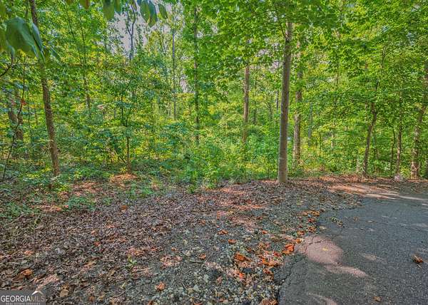 6.17 Acres of Residential Land for Sale in Martin, Georgia