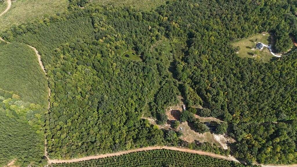 23.3 Acres of Agricultural Land with Home for Sale in Drakes Branch, Virginia