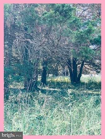 0.23 Acres of Residential Land for Sale in Bushwood, Maryland