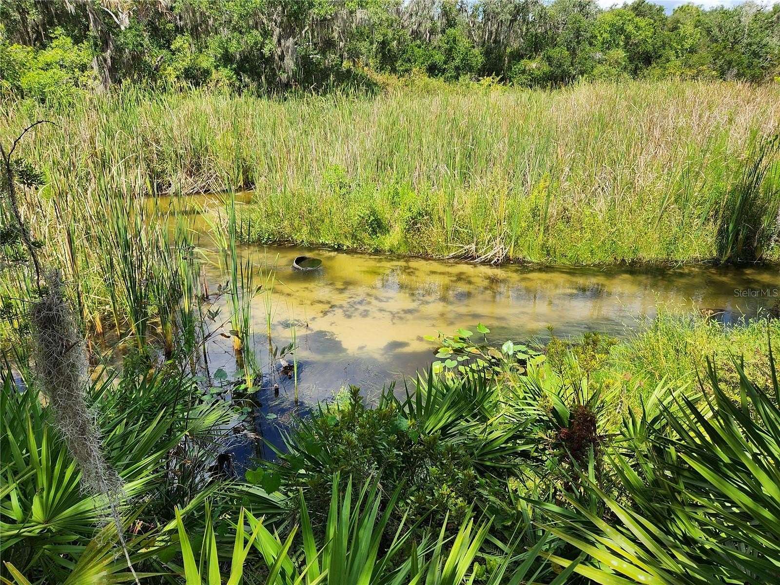 1 Acre of Residential Land for Sale in Frostproof, Florida