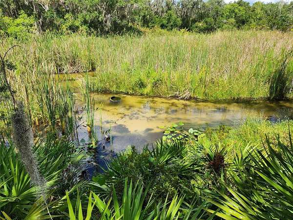 1 Acre of Residential Land for Sale in Frostproof, Florida