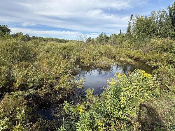 5 Acres of Land for Sale in Gordon, Wisconsin
